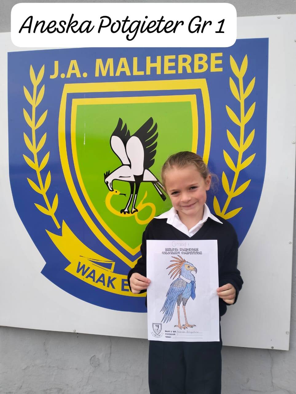 522735238_4028145397500488_438995466673812830_n