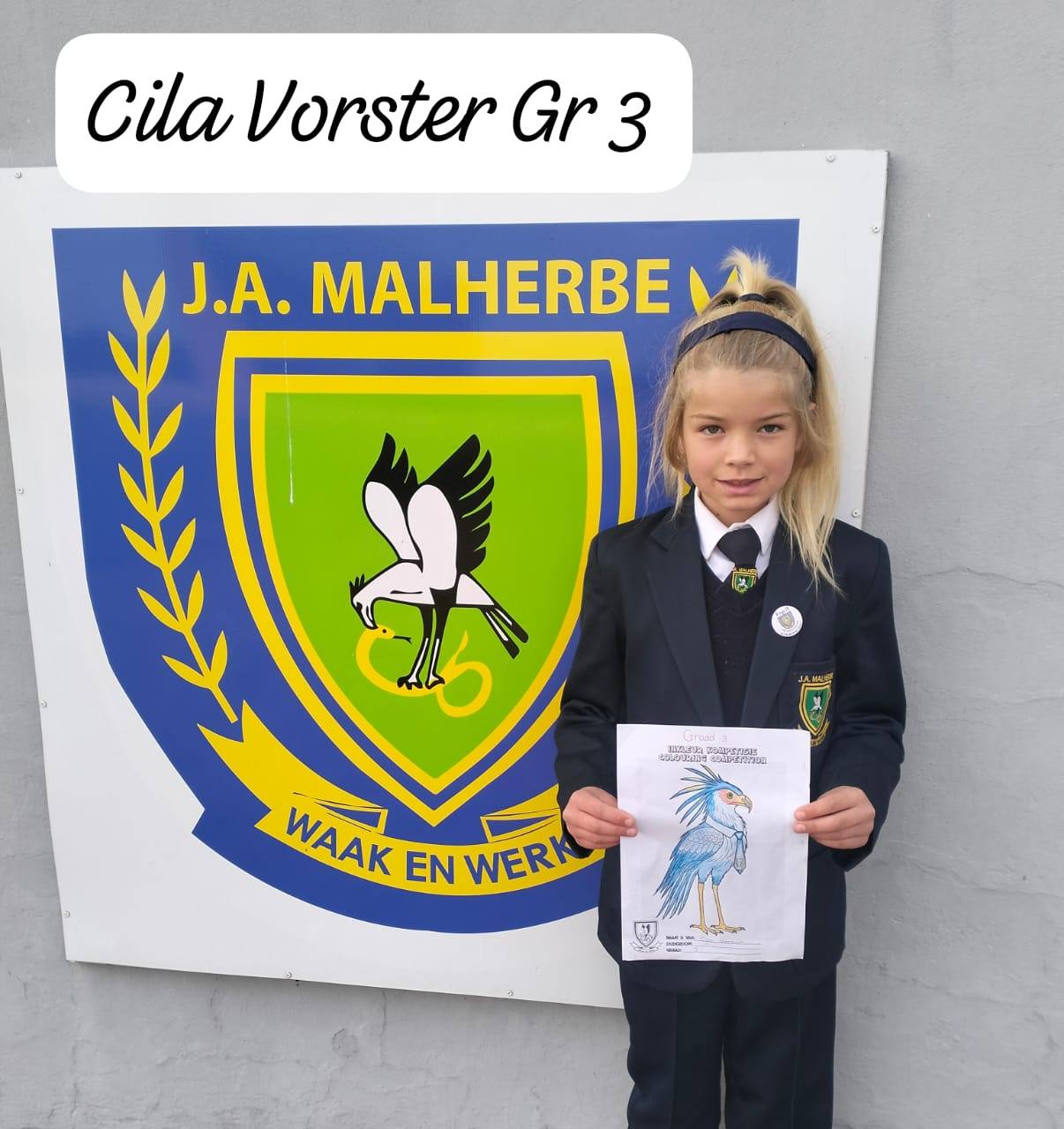 524183683_4028145340833827_3133172527620173314_n