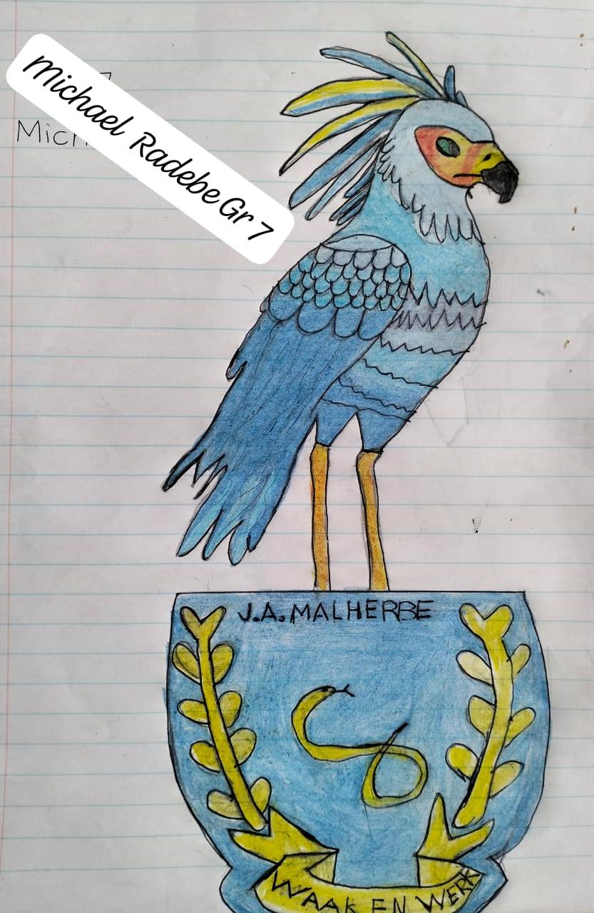 524353452_4028145477500480_439306787122532143_n