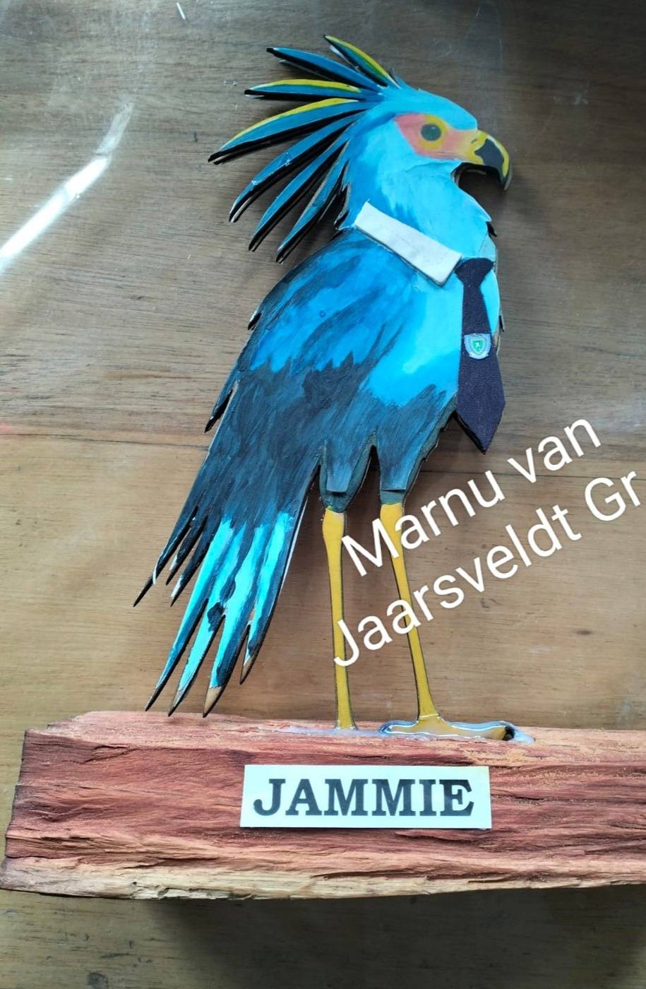 524787987_4028145180833843_5186014027974557816_n