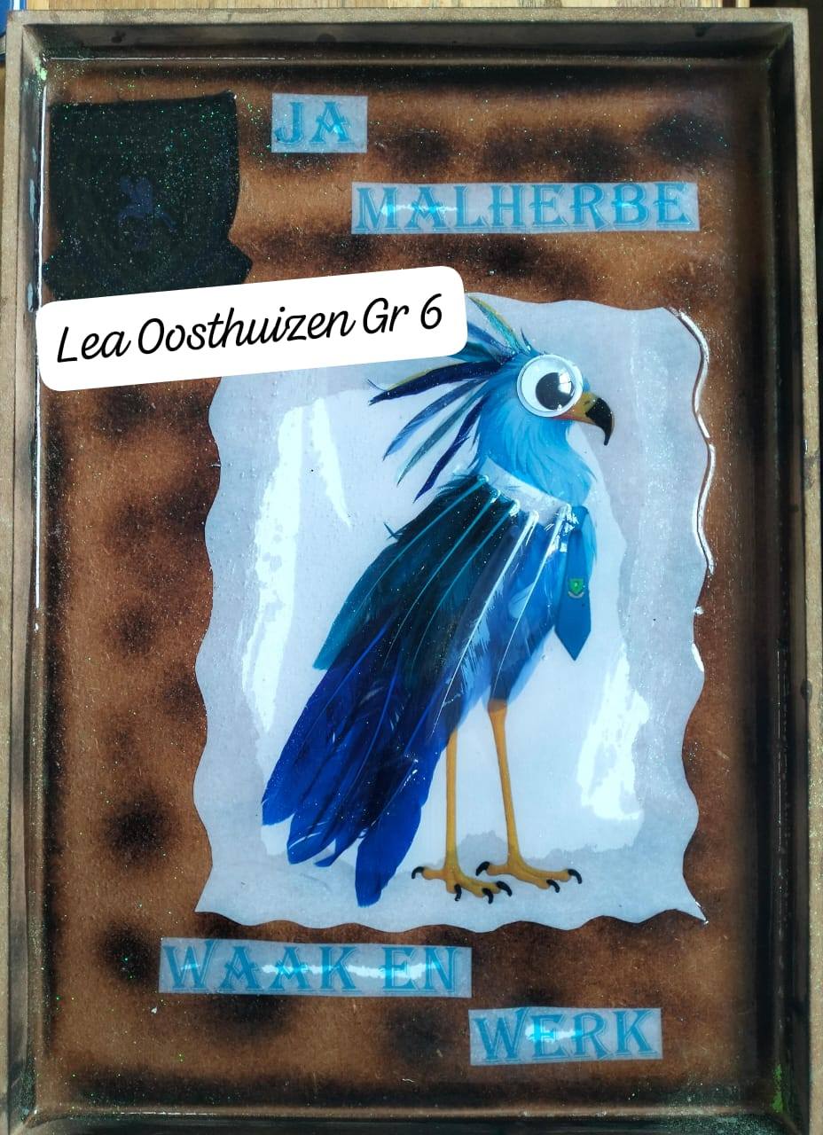 524867409_4028145444167150_3032171964766744335_n